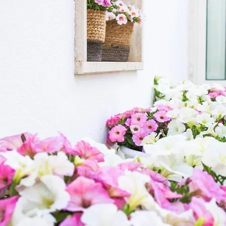 Enjoytrulli - Unesco Site 알베르벨로