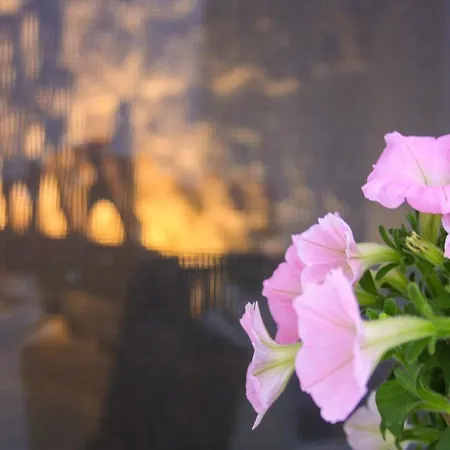 Enjoytrulli - Unesco Site Prázdninový dům Alberobello