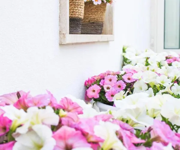 Enjoytrulli - Unesco Site Alberobello